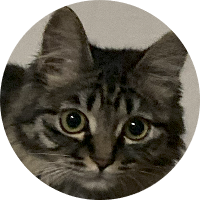 写真：ゆきひろ